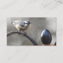 Fertigen Sie Ihre eigenen Visitenkarten