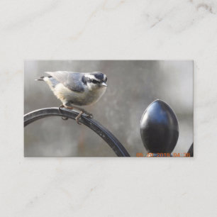 Fertigen Sie Ihre eigenen Visitenkarten Visitenkarte