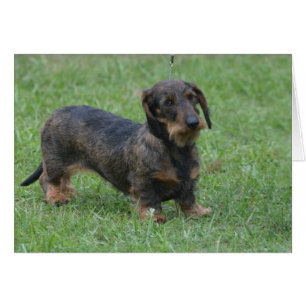 Fertigen Sie Produkt besonders an