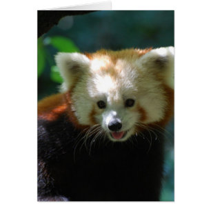 Fertigen Sie Produkt besonders an