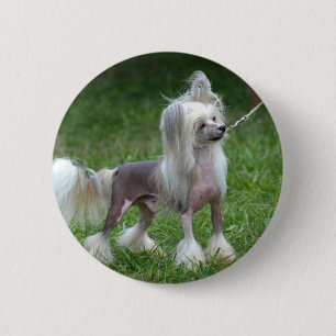 Fertigen Sie Produkt besonders an Button