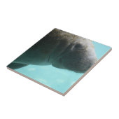 Fertigen Sie Produkt besonders an Fliese (Seite)