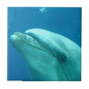 Fertigen Sie Produkt besonders an Fliese