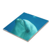 Fertigen Sie Produkt besonders an Fliese (Seite)