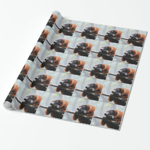 Fertigen Sie Produkt besonders an Geschenkpapier