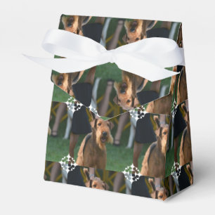 Fertigen Sie Produkt besonders an Geschenkschachtel