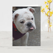 Fertigen Sie Produkt besonders an Karte (Gelbe Blume)