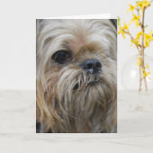 Fertigen Sie Produkt besonders an Karte (Gelbe Blume)