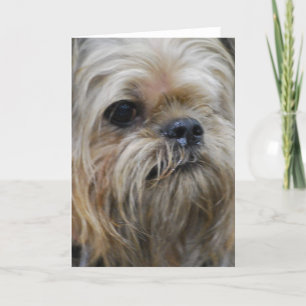 Fertigen Sie Produkt besonders an Karte