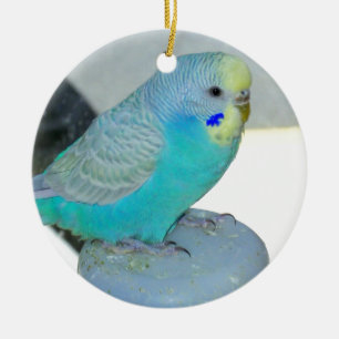 Fertigen Sie Produkt besonders an Keramik Ornament