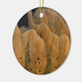 Fertigen Sie Produkt besonders an Keramikornament (Links)