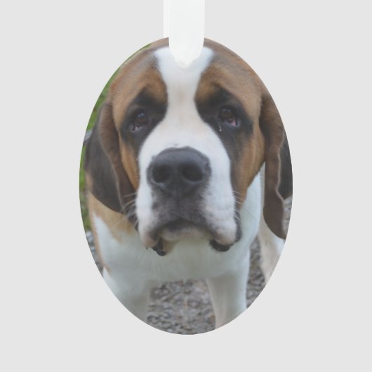 Fertigen Sie Produkt besonders an Ornament (Vorderseite)