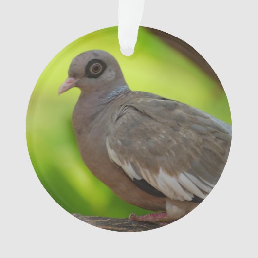 Fertigen Sie Produkt besonders an Ornament (Vorderseite)