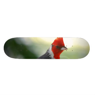 Fertigen Sie Produkt besonders an Skateboard