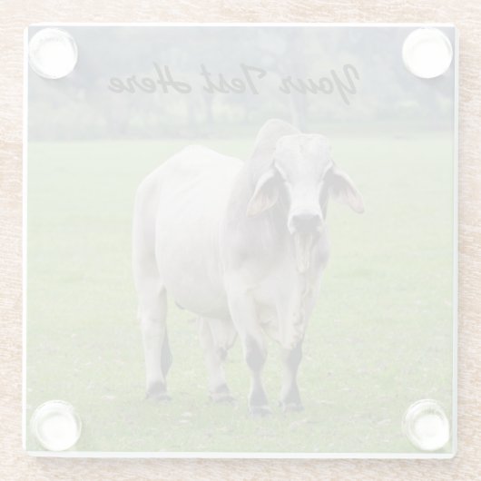 Fertigen Sie TextBrahman besonders an (alias. Glasuntersetzer (Rückseite)