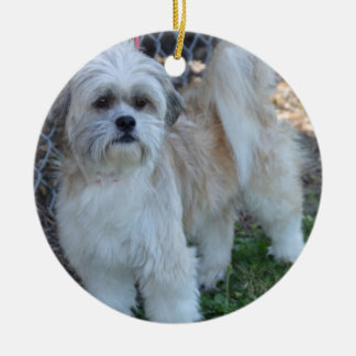 fertigen Sie w/special Foto Keramikornament