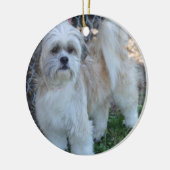 fertigen Sie w/special Foto Keramikornament (Links)