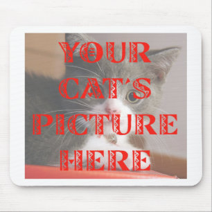 Fertigte das Foto Ihrer Katze besonders an Mousepad