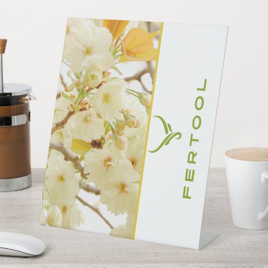 FERTOOL SOCKELSCHILD (In Situ)