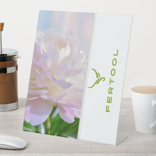 FERTOOL SOCKELSCHILD (In Situ)