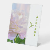 FERTOOL SOCKELSCHILD (Vorderseite)