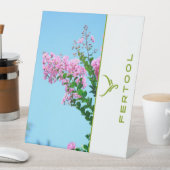 FERTOOL SOCKELSCHILD (In Situ)