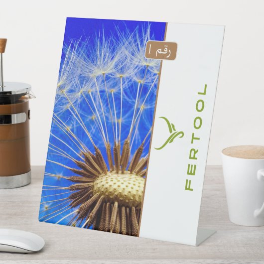 FERTOOL SOCKELSCHILD (In Situ)