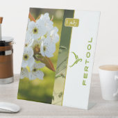 FERTOOL SOCKELSCHILD (In Situ)