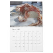 Fest durch Italien Kalender (Mär 2026)