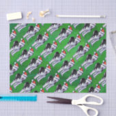 Fest Husky in der Weihnachtsmannmütze auf Grün Seidenpapier (Handwerk)