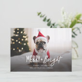 Fest Merry Bright Moderner Hund Foto Weihnachten (Stehend Vorderseite)