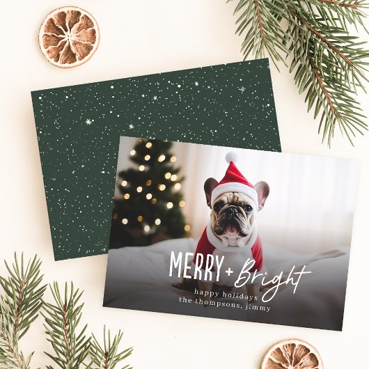 Fest Merry Bright Moderner Hund Foto Weihnachten