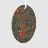 Fest Rotes Sparkling Berries Naturerlebnis Foto Ornament (Vorderseite)