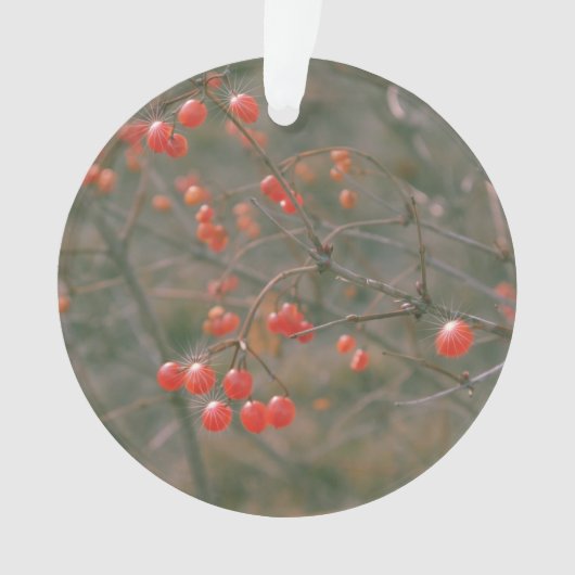 Fest Rotes Sparkling Berries Naturerlebnis Foto Ornament (Vorderseite)
