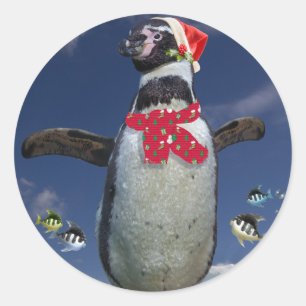 Feste Pinguinsticker Runder Aufkleber