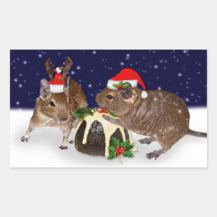 Fester Degus-Aufkleber Rechteckiger Aufkleber