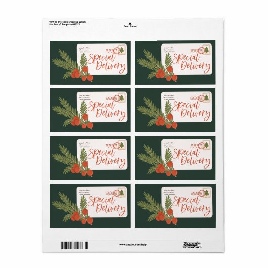 Fester Sonderauslieferungspapierrahmen (Vorne)