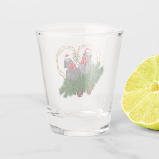 Festes Fetherballs Glas (Rückseite)
