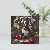 Festes Fury Duo (Stehend Vorderseite)