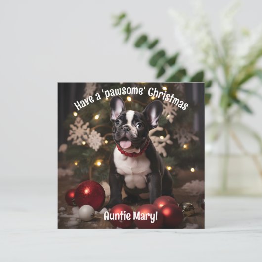 Festes Fury Duo (Stehend Vorderseite)