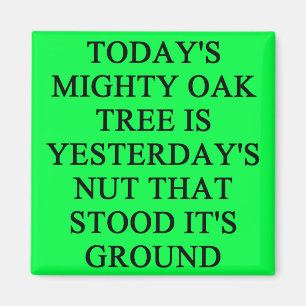 festes Sprichwort des Stands Magnet