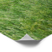 Festgelegte Mauer von Carcassonne Poster (Ecke)