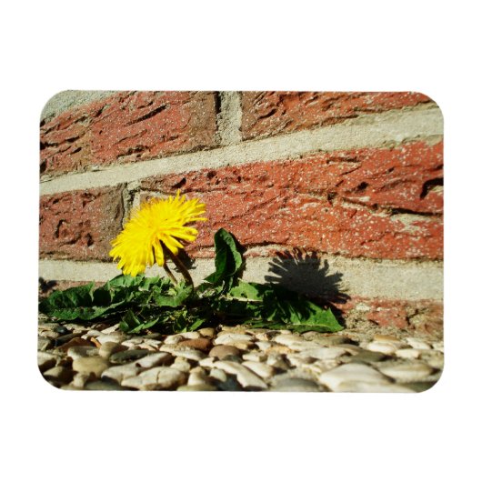 Festgestelltes Löwenmagnet Magnet (Horizontal)