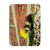 Festgestelltes Löwenmagnet Magnet (Vertikal)