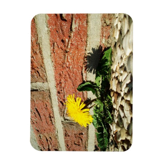 Festgestelltes Löwenmagnet Magnet (Vertikal)