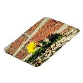 Festgestelltes Löwenmagnet Magnet (Linke Seite)