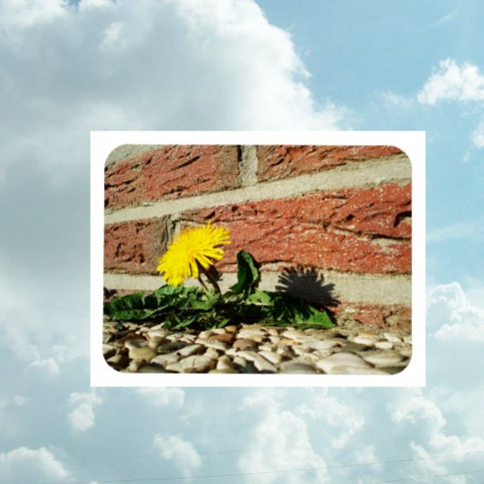 Festgestelltes Löwenmagnet Magnet