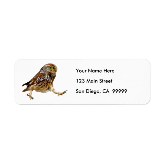 Festgestelltes Marching Owl (Vorne)