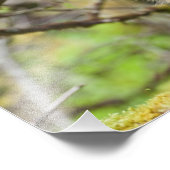 Festgestelltes Porcupine Fotodruck (Ecke)