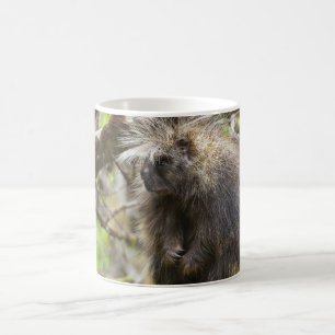 Festgestelltes Porcupine Kaffeetasse